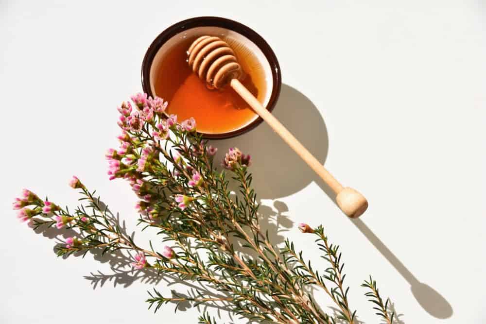 Manuka med s cvjetovima manuka drveta.